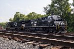 Shiny in Shenandoah